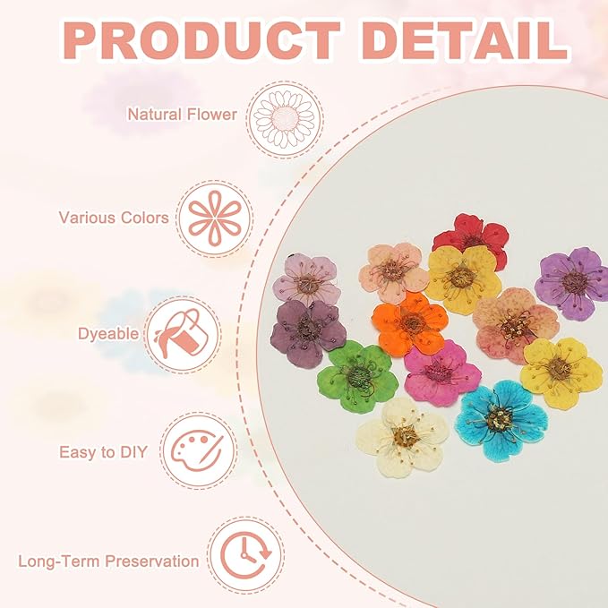 uxcell 40Pcs Dried Pressed Flowers, 0.24-0.31" Colorful Dried Pressed Narcissus Flowers Bulk for Nail Art Resin Jewelry Candle Card Making Scrapbook Phone Case Decoration, White