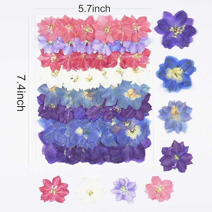 48Pcs Lankspur Dried Pressed Flowers for Crafts,Xinxinran Dry Edible Flower for Cake Decorating,Resin Molds,Bookmark,Jewelry Molds,Candle Making Supplies,Soap,Frame(8 Color)