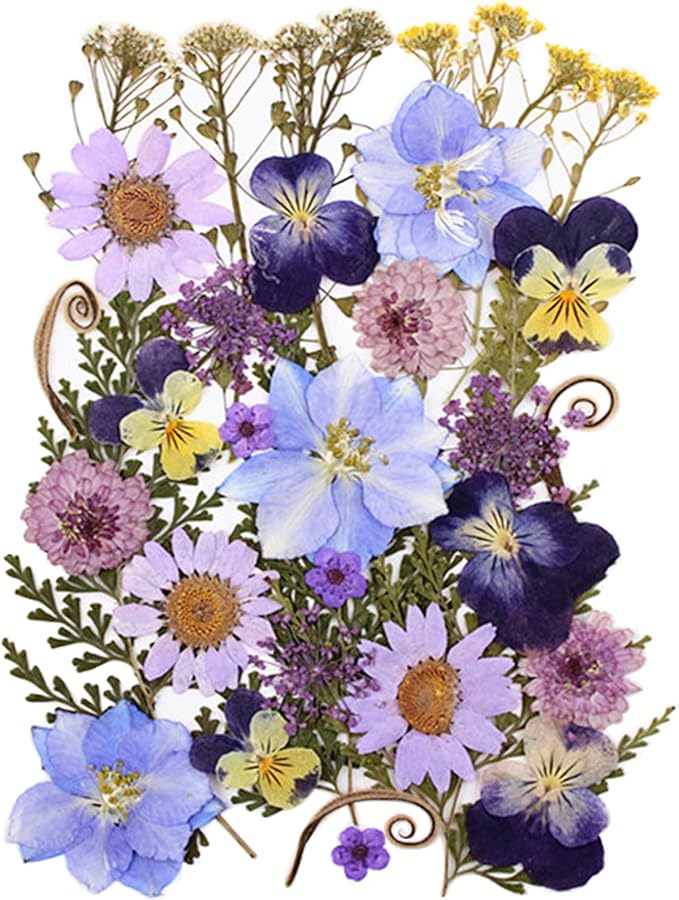 33pcs Dried Pressed Flowers for Crafts Resin DIY Art Natural Dry Floral Pansy Daisy Colorful Epoxy Jewelry Real Album Frame Decor Cakes Bookmarks Phone Cases Candles Handmade Soap Papermaking