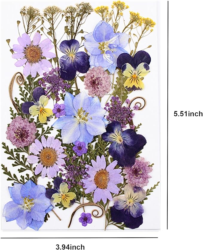 33pcs Dried Pressed Flowers for Crafts Resin DIY Art Natural Dry Floral Pansy Daisy Colorful Epoxy Jewelry Real Album Frame Decor Cakes Bookmarks Phone Cases Candles Handmade Soap Papermaking