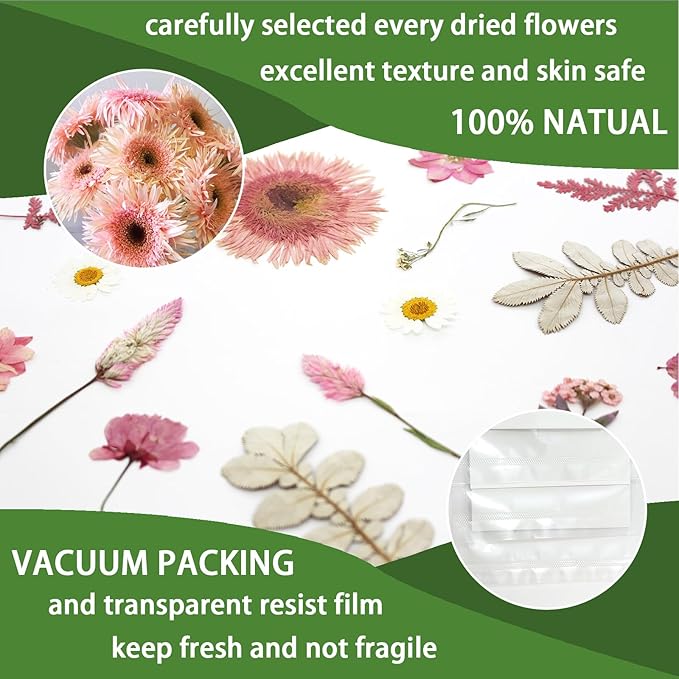 34 Types 60PCS Real Dried Pressed Flowers Leaf Plant Herbarium for DIY Resin Jewelry Making Floral Decors Candle Soap Scrapbook Supplies Card