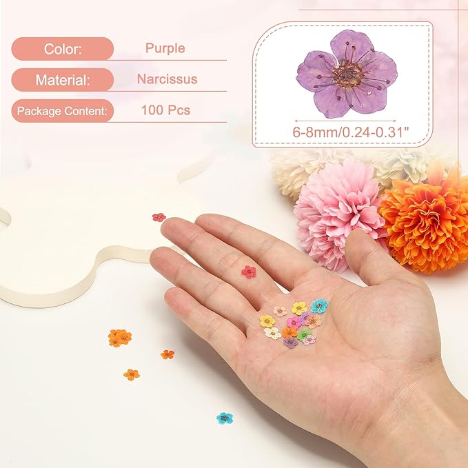 uxcell 100Pcs Dried Pressed Flowers, 0.24-0.31" Colorful Dried Pressed Narcissus Flowers Bulk for Nail Art Resin Jewelry Candle Card Making Scrapbook Phone Case Decoration, Purple