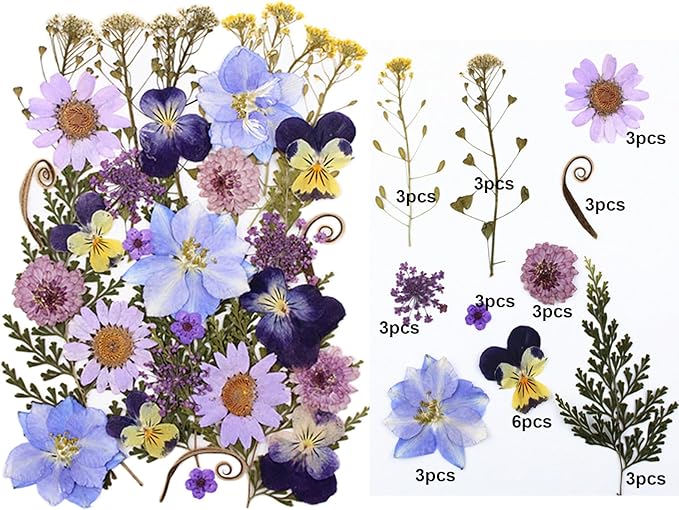 33pcs Dried Pressed Flowers for Crafts Resin DIY Art Natural Dry Floral Pansy Daisy Colorful Epoxy Jewelry Real Album Frame Decor Cakes Bookmarks Phone Cases Candles Handmade Soap Papermaking