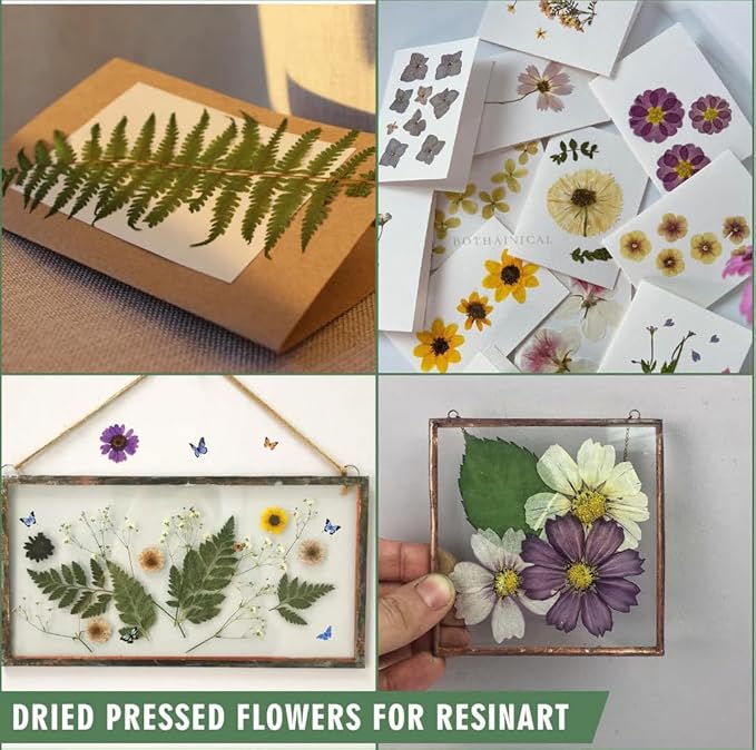 188 Pcs Dried Pressed Flowers for Resin Crafts, Real Natural Pressed Flowers and Leaves Kit Butterfly Stickers Vacuum Sealed Dry Flowers for DIY Epoxy Resin Jewelry Molds, Candle Soap Making, Nail Art