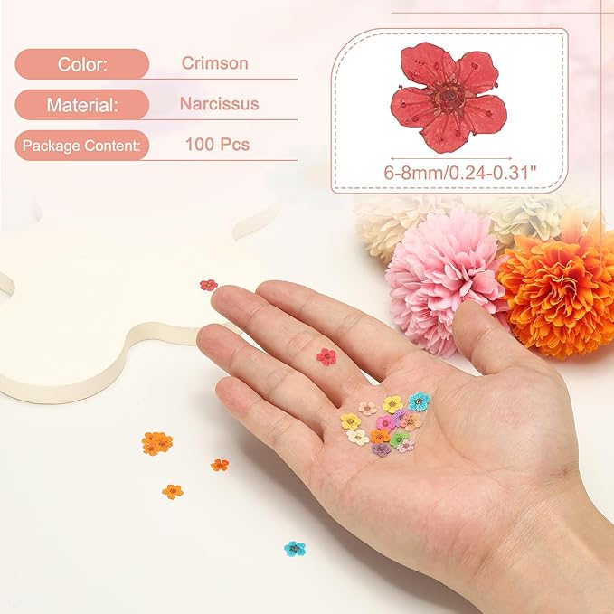 uxcell 100Pcs Dried Pressed Flowers, 0.24-0.31" Colorful Dried Pressed Narcissus Flowers Bulk for Nail Art Resin Jewelry Candle Card Making Scrapbook Phone Case Decoration, Crimson