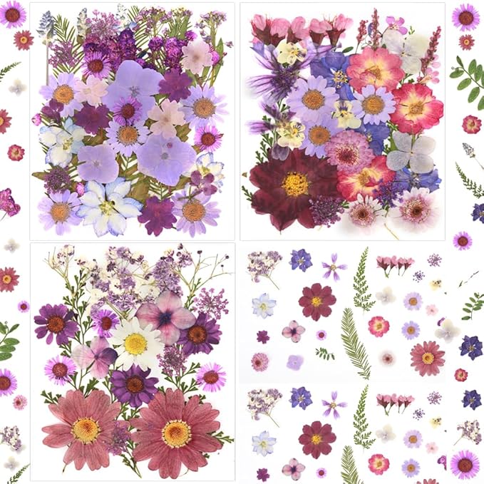 100Pcs Natural Pressed Dried Flowers Resin, Dry Flowers for Resin Accessories, Dried Flower for Scrapbooking DIY Art Crafts, Epoxy Resin Jewelry Molds, Candle, Nails Décor, Craft Making