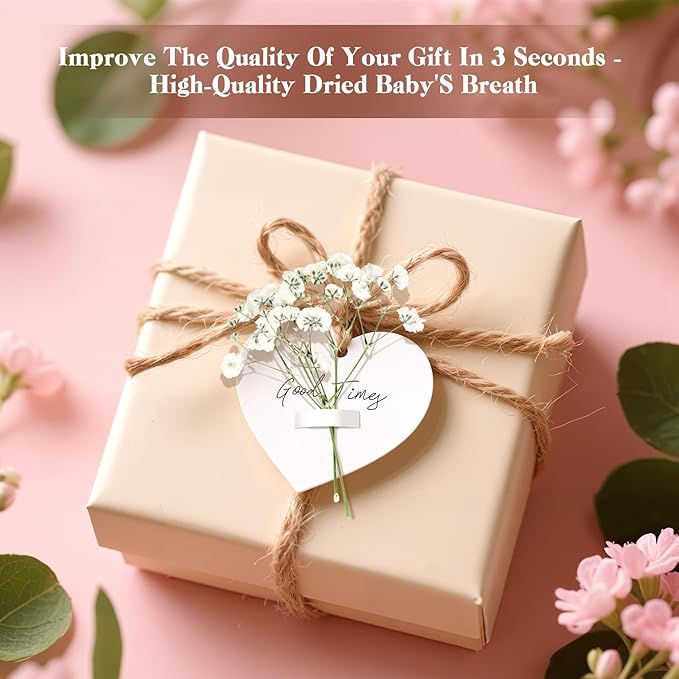 50 Pcs Baby's Breath Real Natural Dried Pressed Flowers for Wedding DIY Crafts Home Decor Resin Art Card Making Vase Arrangements (White)