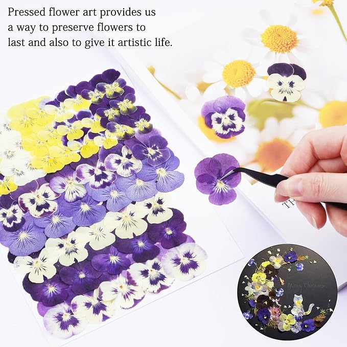 60Pcs Pansy Dried Pressed Flowers for Crafts,Xinxinran Dry Flowers Kit for Cake Decorating,Resin Molds,Bookmark,Jewelry Molds,Candle Making Supplies,Soap,Frame(8 Color)