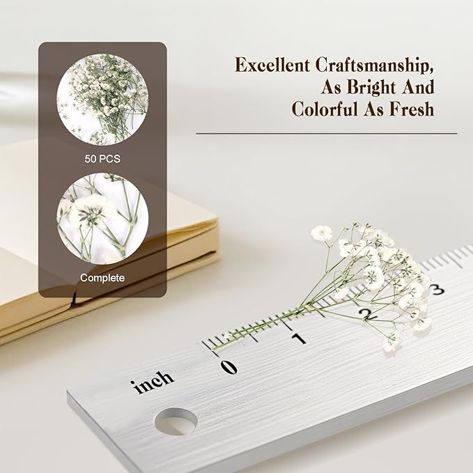 50 Pcs Baby's Breath Real Natural Dried Pressed Flowers for Wedding DIY Crafts Home Decor Resin Art Card Making Vase Arrangements (White)