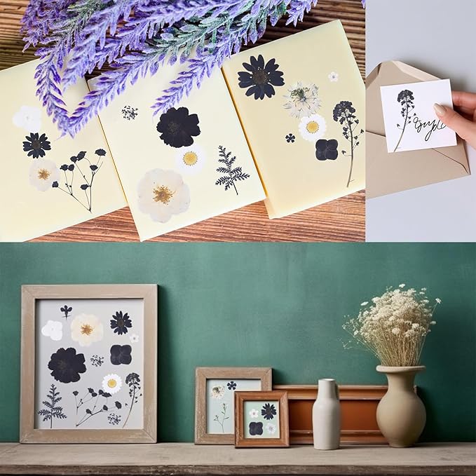 154Pcs Black Dried Pressed Flowers for Crafts,Xinxinran Dry Flowers Kit for Resin Molds,Epoxy Resin Accessories,Bookmark,Nails, Jewelry Molds,Candle Making Supplies,Soap,Frame