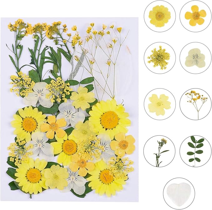 Augshy Dried Pressed Flowers - Real Natural Colorful Dry Flowers for Resin Jewelry Nail Art Craft DIY (Yellow)