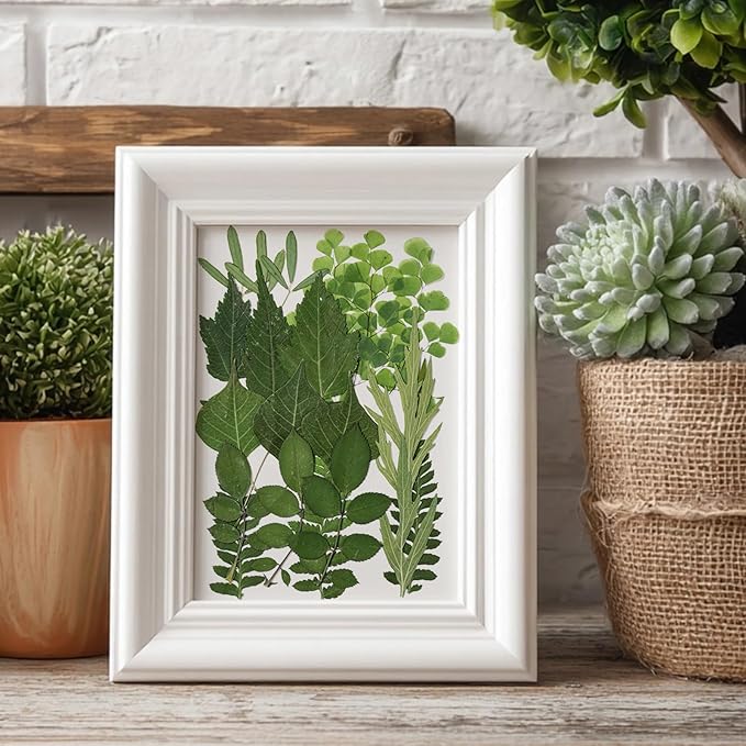 86Pcs Dried Pressed Flowers Leaves for Crafts, Real Natural Dried Leaves Pressed Leaves Bulk Dry Leaves for Resin, DIY Art, Jewelry, Candle & Soap Making, Scrapbook Bookmarks Ideas – Tweezers Included