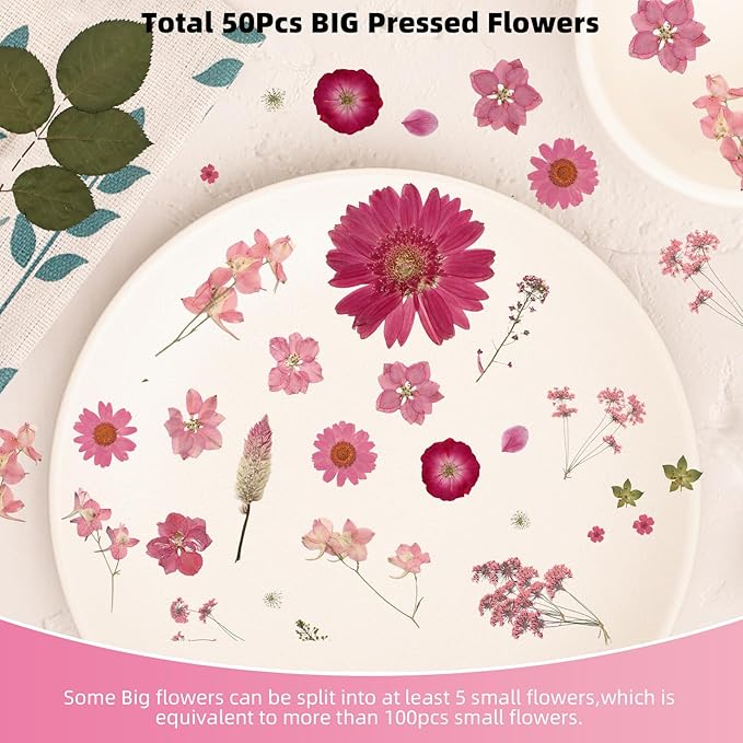 12“ Large Bulk Dried Pressed Flowers for Glass Frame, Real Dry Natural Flower Leaf for Resin Mold, Cake Decor, Holiday Decorations, Phone Cases, Invitations (Pink Fairy)