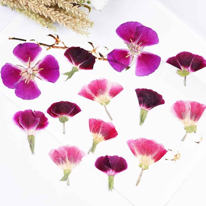 3Types 26Pcs Dried Pressed Flowers for Crafts,Xinxinran Edible Flowers for Cake Decorations,Resin Molds,Bookmark,Jewelry Molds,Candle Making Supplies,Soap,Frame (Clarkia Amoena)