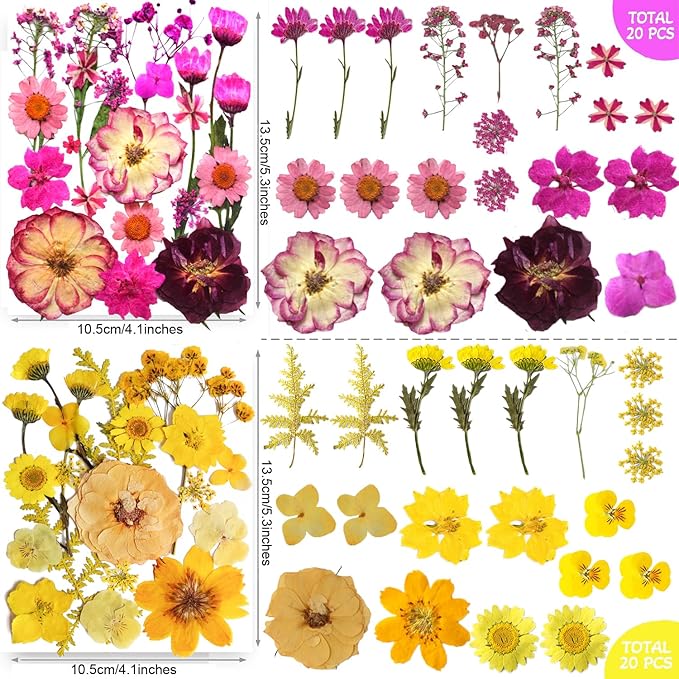 TrendCart 301Pcs Multi-Style Dried Pressed Flowers & Leaves (10 Packs) - Pressed Flower for Crafts, Resin, Nail Art, Candle, Soap, Scrapbooking & Frame Decor