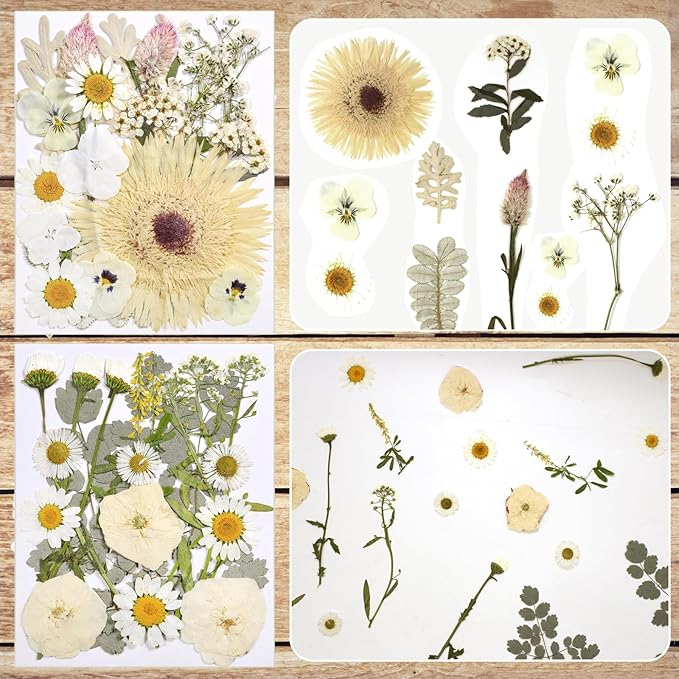 CONVELIFE Dried Flowers for Resin, Vacuum Packed DIY Pressed Flowers for Epoxy, Jewelry, Candles, Soap, Nail Production (80PCS White Dried Flowers)