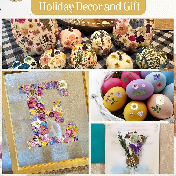 85Pcs Pressed Flowers for Crafts, Colorful Dried Flowers for Crafts Real Natural Dried Pressed Flowers Dry Leaves Bulk for Resin, DIY Art, Scrapbook, Jewelry, Card, Candle & Soap Making with Tweezers