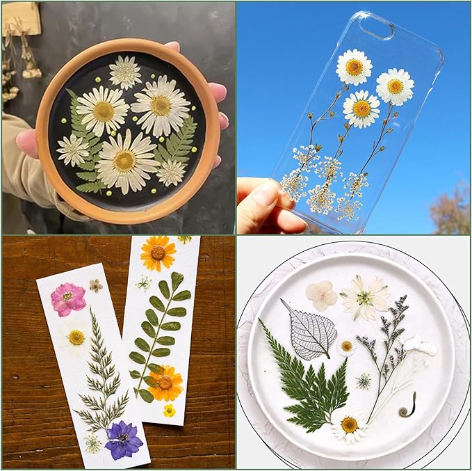 188 Pcs Dried Pressed Flowers for Resin Crafts, Real Natural Pressed Flowers and Leaves Kit Butterfly Stickers Vacuum Sealed Dry Flowers for DIY Epoxy Resin Jewelry Molds, Candle Soap Making, Nail Art