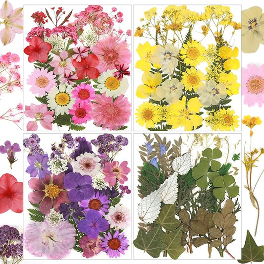104Pcs Natural Pressed Dried Flowers Resin, Dry Flowers for Resin Accessories, Dried Flower for Scrapbooking DIY Art Crafts, Epoxy Resin Jewelry Molds, Candle, Soap Making, Craft Making