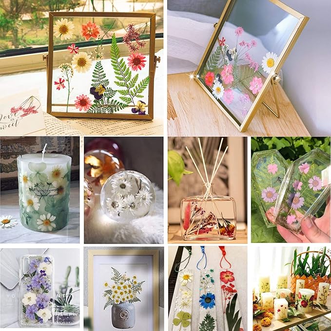 BIHRTC 100PCS Dried Flowers for Resin Real Dry Flower Natural Pressed Died Leaves Sunflowers Chrysanthemum Resin Small Colorful Pressed Flowers Daisies for Candle Jewelry Nail Pendant Making