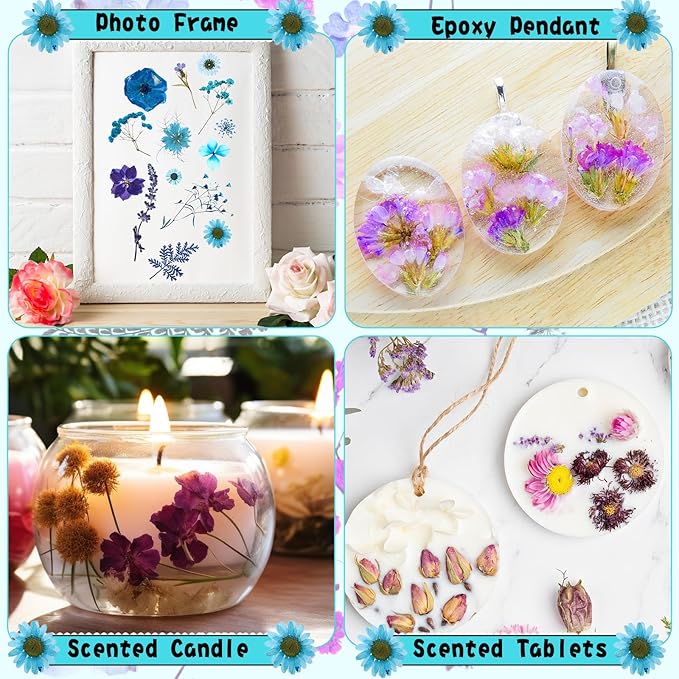 Nuanchu 167 Pcs Real Dried Pressed Flowers Natural Dried Flowers Colorful Daisy Mixed Wildflowers Leave for DIY Candle Resin Nails Jewelry Pendant Crafts Floral Art(Blue,Novelty Style)