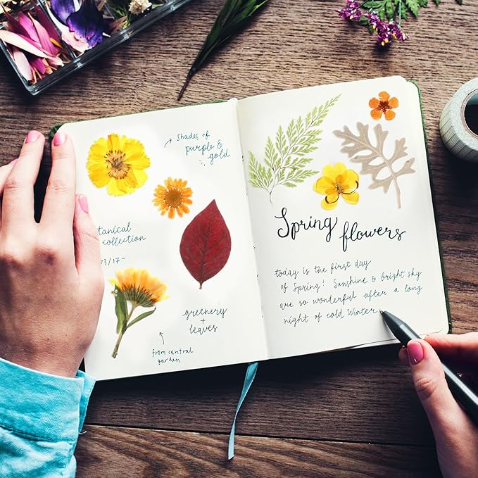 Nuanchu 167 Pcs Real Dried Pressed Flowers Natural Dried Flowers Colorful Daisy Mixed Wildflowers Leave for DIY Candle Resin Nails Jewelry Pendant Crafts Floral Art(Yellow,Bright Style)