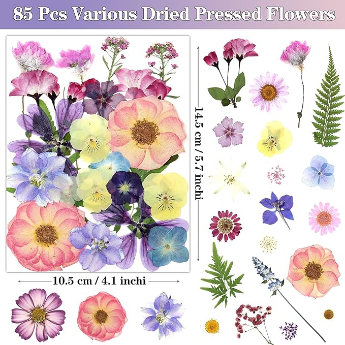 85Pcs Pressed Flowers for Crafts, Pink Purple Dried Flowers for Crafts Real Natural Dried Pressed Flowers Dry Leaves Bulk for Resin, DIY Art, Scrapbook, Jewelry, Card, Candle & Soap Making w/ Tweezer