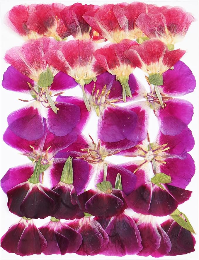 3Types 26Pcs Dried Pressed Flowers for Crafts,Xinxinran Edible Flowers for Cake Decorations,Resin Molds,Bookmark,Jewelry Molds,Candle Making Supplies,Soap,Frame (Clarkia Amoena)