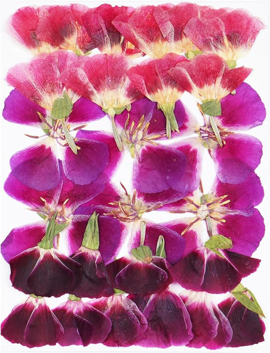 3Types 26Pcs Dried Pressed Flowers for Crafts,Xinxinran Edible Flowers for Cake Decorations,Resin Molds,Bookmark,Jewelry Molds,Candle Making Supplies,Soap,Frame (Clarkia Amoena)