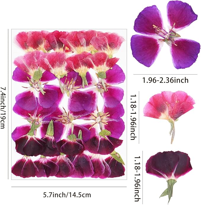 3Types 26Pcs Dried Pressed Flowers for Crafts,Xinxinran Edible Flowers for Cake Decorations,Resin Molds,Bookmark,Jewelry Molds,Candle Making Supplies,Soap,Frame (Clarkia Amoena)