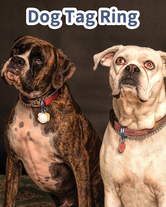 TISUR Titanium Key Ring,Elegant Quick Release Side Pushing Split Rings Kit for Keychains,Heavy Duty Keyring for Dog Tag