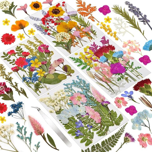 CONVELIFE Dried Flowers , 72pcs Natural Pressed Flowers and Leaves with Tweezers, Pressed Flowers for Epoxy, Jewelry, Candles, Soap, Nail Production
