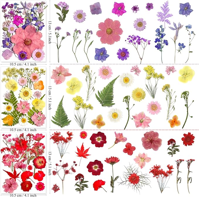 MIKIYA 182Pcs Dried Pressed Flowers for Resin Molds, Assorted Real Natural Bulk Dry Floral Leaves for DIY Art Crafts, Epoxy Jewelry, Candle, Soap Making, Nails Decors Gifts