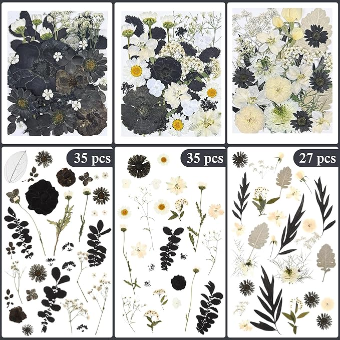 Nuanchu 167 Pcs Real Dried Pressed Flowers Natural Dried Flowers Colorful Daisy Mixed Wildflowers Leave for DIY Candle Resin Nails Jewelry Pendant Crafts Floral Art(Black White,Vintage Style)