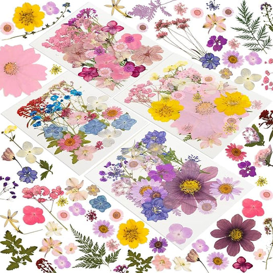 204 Pcs Dried Pressed Flowers for Resin Crafts, Real Natural Pressed Flowers and Leaves Kit Butterfly Stickers Vacuum Sealed Dry Flowers for DIY Epoxy Resin Jewelry Molds, Candle Soap Making, Nail Art