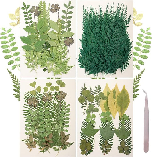 120Pcs Dried Pressed Leaves Flowers Real Flowers Natural Dry Leaves Bulk Mixed Colorful Herbs Kit with Tweezers for Scrapbooking DIY Candle Jewelry Crafts Making Nails Decorate(Green)