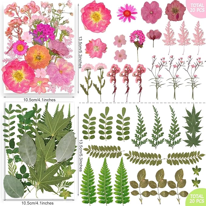 TrendCart 301Pcs Multi-Style Dried Pressed Flowers & Leaves (10 Packs) - Pressed Flower for Crafts, Resin, Nail Art, Candle, Soap, Scrapbooking & Frame Decor