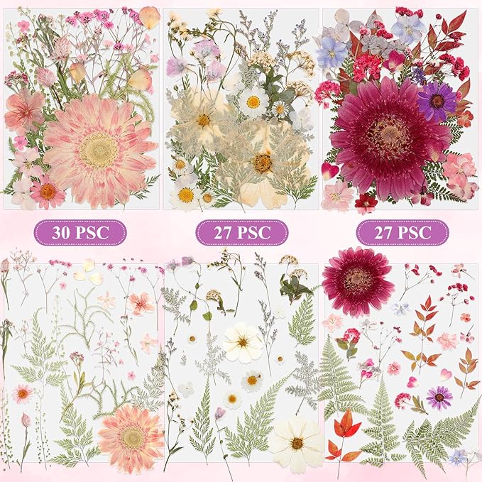 Nuanchu 167 Pcs Real Dried Pressed Flowers Natural Dried Flowers Colorful Daisy Mixed Wildflowers Leave for DIY Candle Resin Nails Jewelry Pendant Crafts Floral Art(Rainbow,Classic Style)