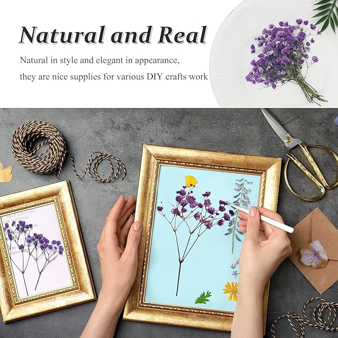 Dried Pressed Gypsophila Flowers with Stem, 42PCS Purple Natural Real Dried Pressed Babysbreath Flowers Dry Flowers for Resin Jewelry DIY Phone Case Decor Crafts Candle Making