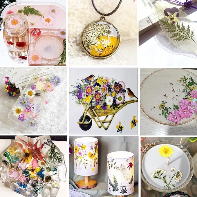 BIHRTC 100PCS Dried Pressed Flowers Assorted Real Dried Pressed Leaves Natural Colorful Real Dry Flowers Leaves for Resin Scrapbooking DIY Candle Accessories Jewelry Crafts Making