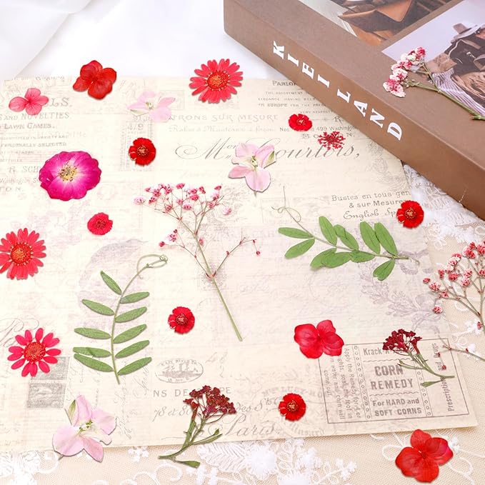 Dried Pressed Flowers Real Pressed Flowers Natural Dry Leaves Bulk Mixed Colorful Herbs Kit with Tweezers for Scrapbooking DIY Candle Jewelry Crafts Making Nails (Red)