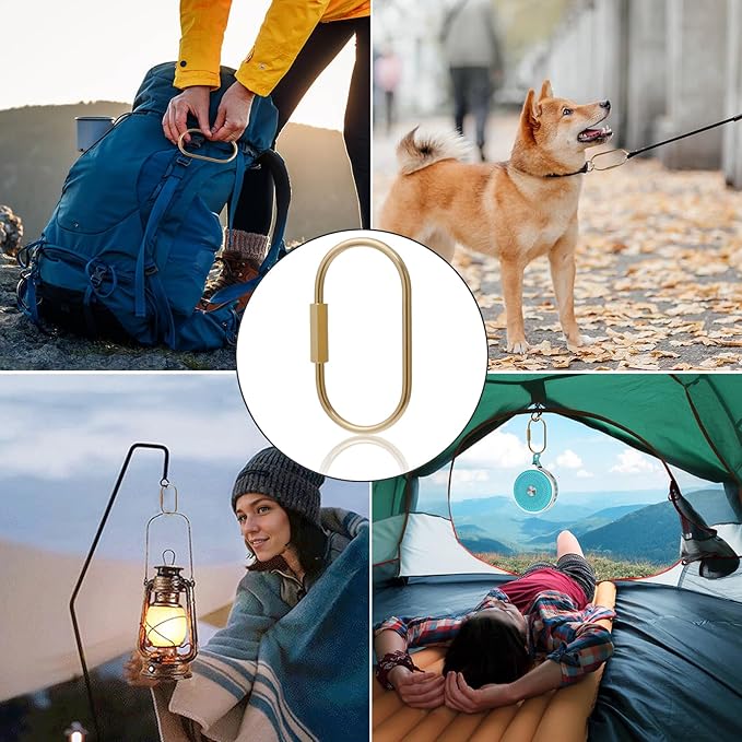 CMVFYL 10 Pcs Gold Brass Key Rings,Small Locking Carabiner Clip Keychain,Screw Lock Oval Keyring,Purse Bag Charms Holder for Handbag