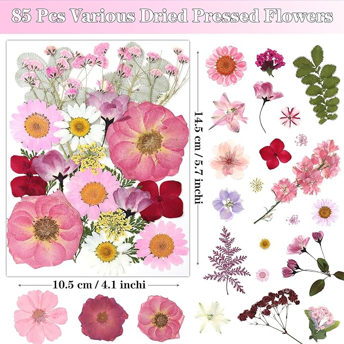 85Pcs Pink Dried Flowers for Crafts, Natural Pressed Flowers for Crafts Real Dried Pressed Flowers Dry Leaves for Resin, DIY Art, Scrapbook, Nails Decor, Jewelry, Candle & Soap Making, with Tweezers