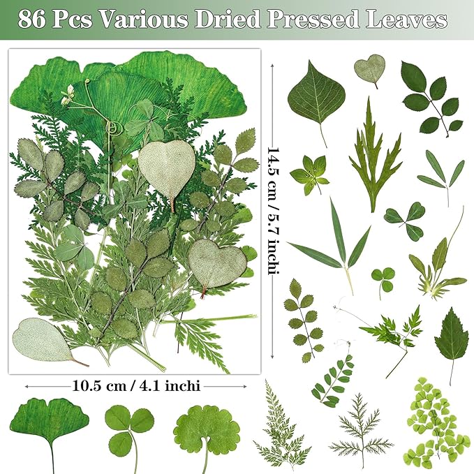 86Pcs Dried Pressed Flowers Leaves for Crafts, Real Natural Dried Leaves Pressed Leaves Bulk Dry Leaves for Resin, DIY Art, Jewelry, Candle & Soap Making, Scrapbook Bookmarks Ideas – Tweezers Included