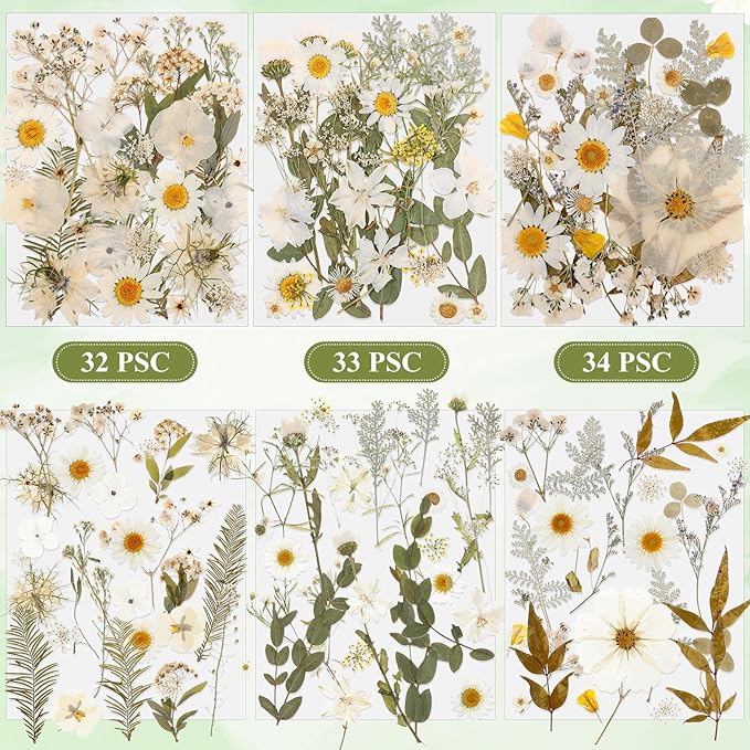 Nuanchu 167 Pcs Real Dried Pressed Flowers Natural Dried Flowers Colorful Daisy Mixed Wildflowers Leave for DIY Candle Resin Nails Jewelry Pendant Crafts Floral Art (White,Pure Style)