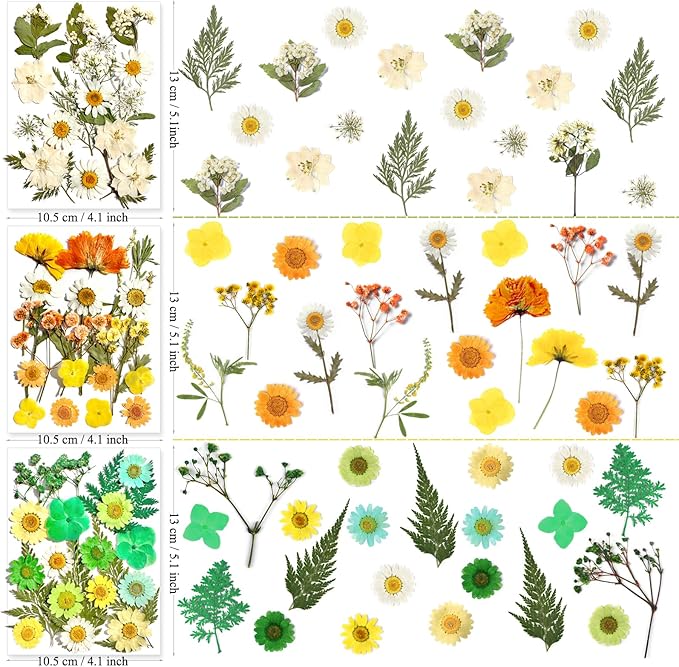 MIKIYA 182Pcs Dried Pressed Flowers for Resin Molds, Assorted Real Natural Bulk Dry Floral Leaves for DIY Art Crafts, Epoxy Jewelry, Candle, Soap Making, Nails Decors Gifts