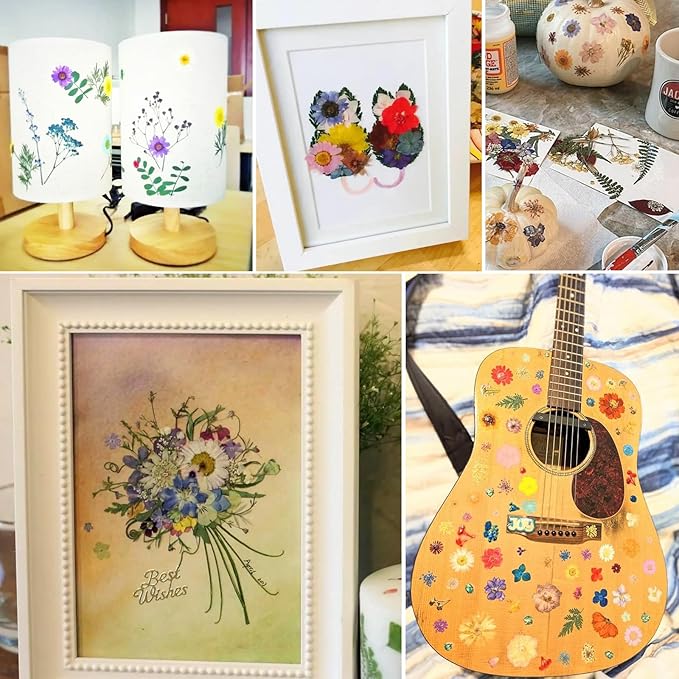 BIHRTC 100pcs Blue Dried Flowers for Resin Molds Red Real Dry Natural Flower Leaf Daisy for Scrapbooking DIY Candle Accessories Jewelry Crafts Making DIY Art Crafts Cake Decor