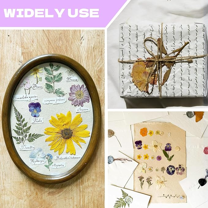 CONVELIFE Dried Flowers for Resin, Vacuum Packed DIY Pressed Flowers for Epoxy, Jewelry, Candles, Soap, Nail Production (80PCS Purple Dried Flowers)