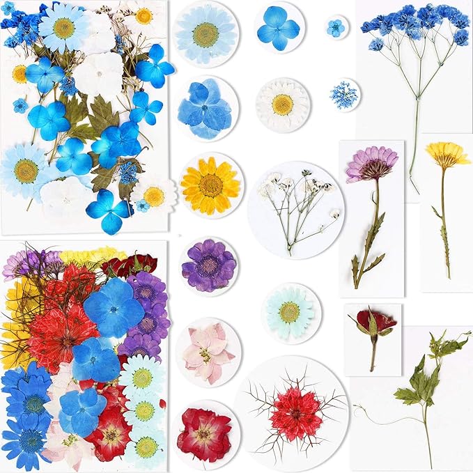 BIHRTC 100PCS Dried Pressed Leaf Flowers Natural Pressed Dry Leaves Sunflowers Chrysanthemum Daisy Flowers for Craft Resin Jewelry Making Soap and Candle Making DIY