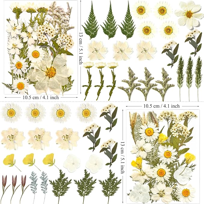 MIKIYA 90Pcs White Dried Pressed Flowers for Resin Molds, Real Natural Bulk Dry Floral Leaves for DIY Art Crafts, Epoxy Jewelry, Candle, Soap Making, Nails Decors Gifts